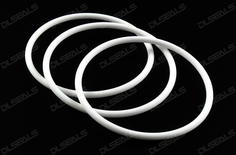 PTFE密封圈